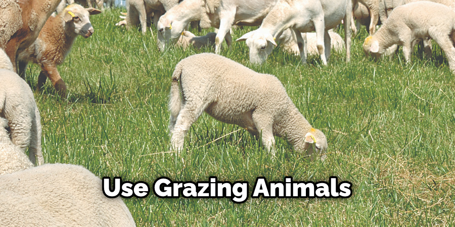 Use Grazing Animals