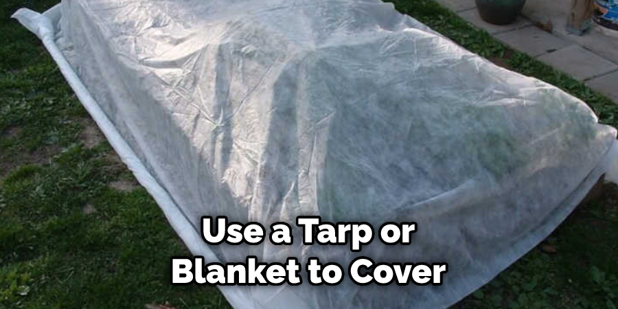 Use a Tarp or Blanket to Cover