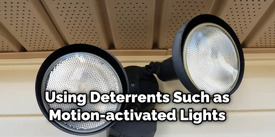 Using Deterrents Such as Motion-activated Lights