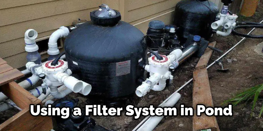 Using a Filter System in Pond
