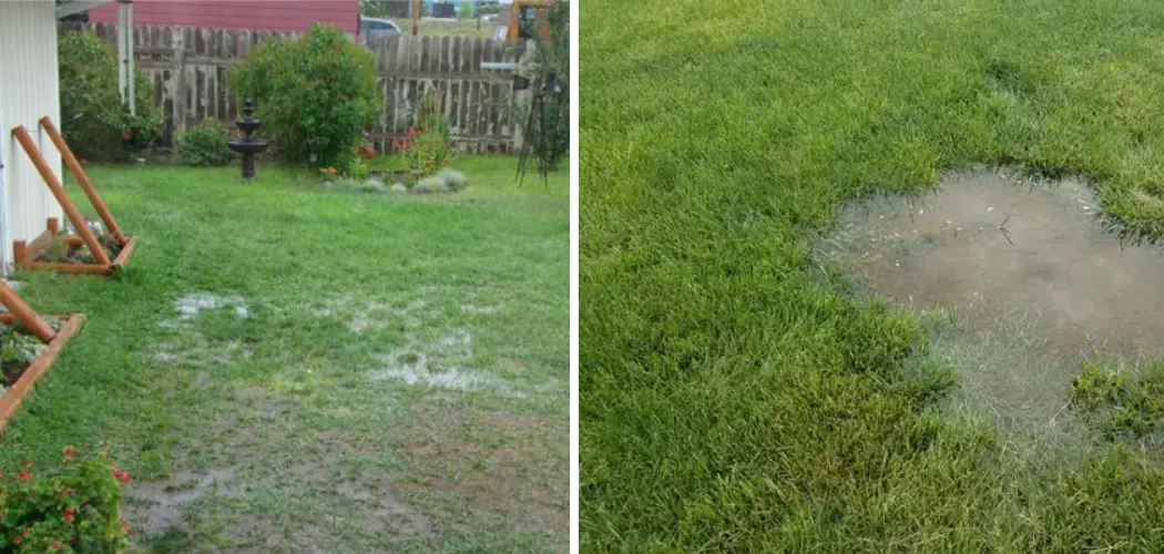 How to Find a Water Leak in Your Yard