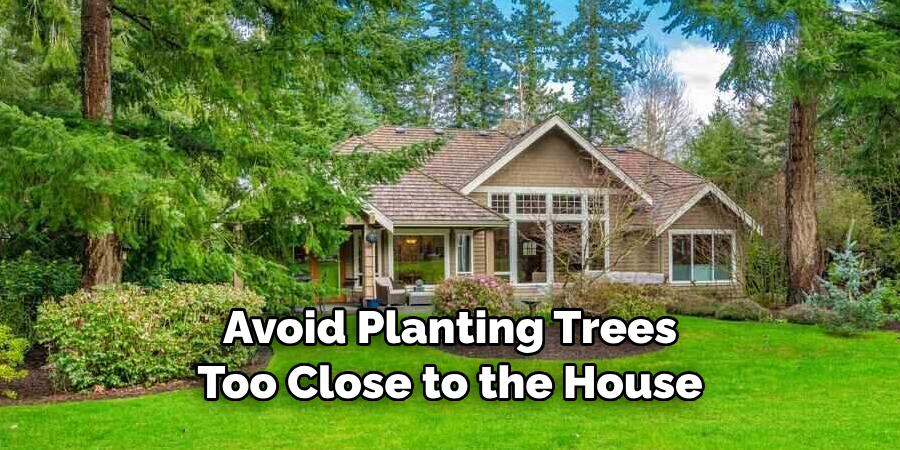 Avoid Planting Trees Too Close to the House