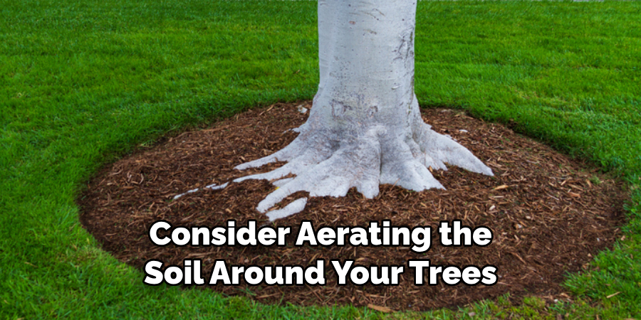 Consider Aerating the Soil Around Your Trees