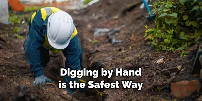 How To Remove Tree Roots From Under Concrete 10 Easy Ways How To Remove Tree Roots From Under Concrete 10 Easy Ways