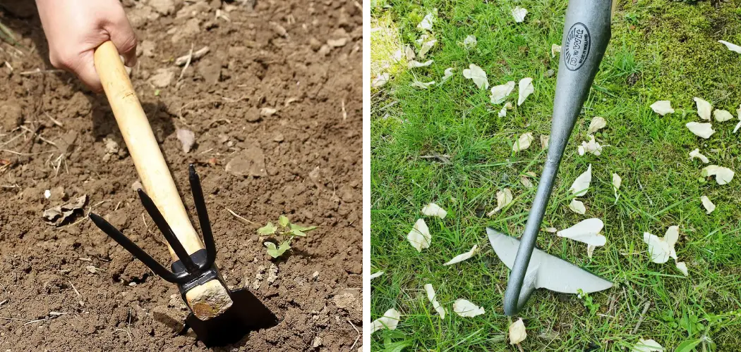 How to Make Garden Rows with a Hoe