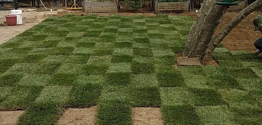 How to Prepare Yard for Sod
