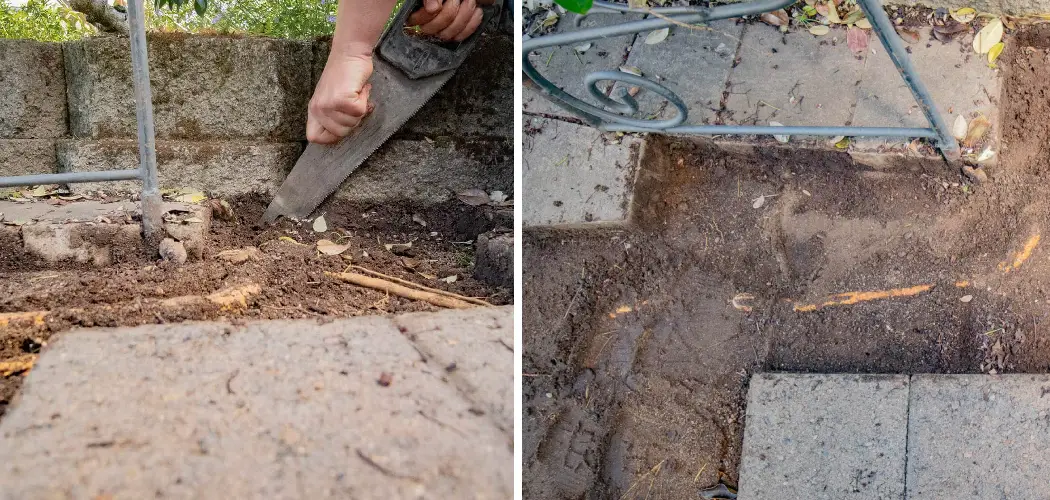 How to Remove Tree Roots From Under Concrete