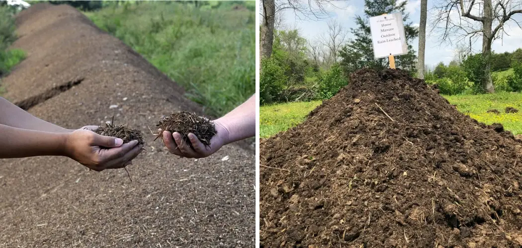 How to Use Horse Manure in Garden