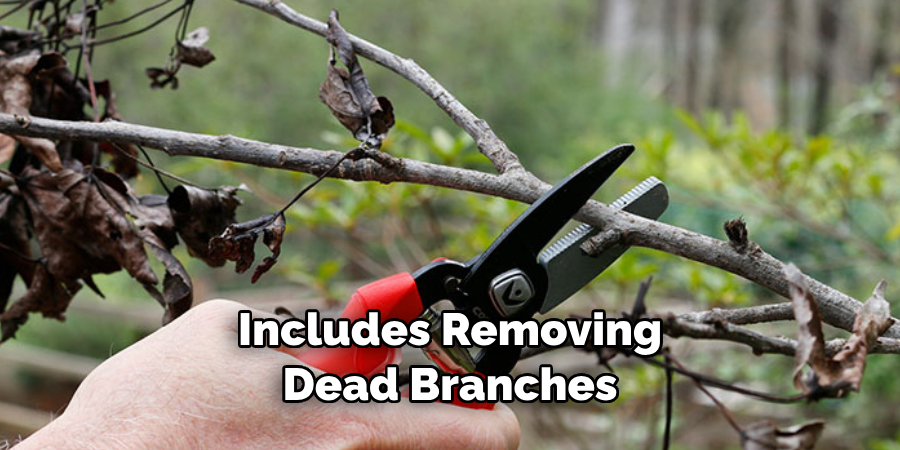 Includes Removing Dead Branches