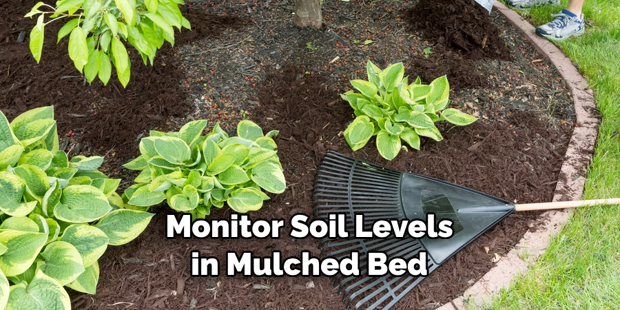 Monitor Soil Levels in Mulched Bed
