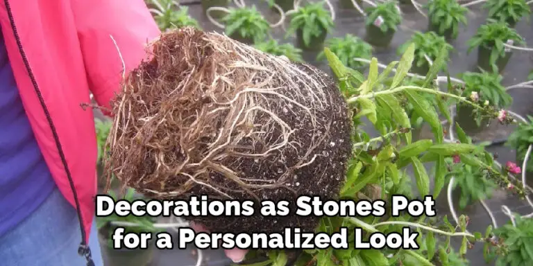 How to Arrange Garden Pots | Explained in 11 Steps (2026)
