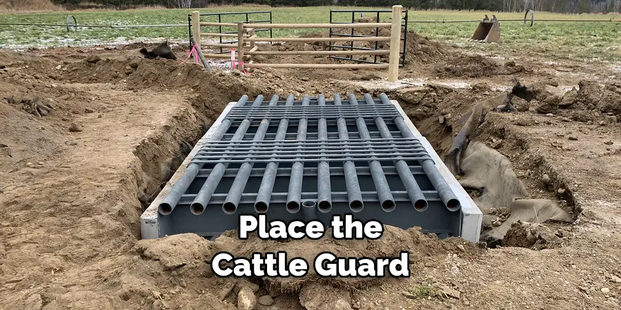 Place the Cattle Guard