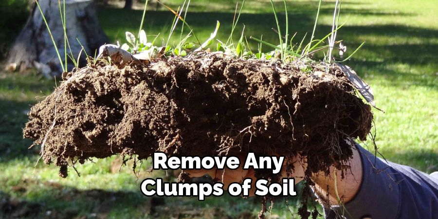 Remove Any Clumps of Soil