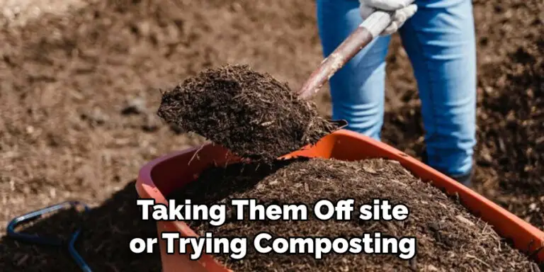 How to Remove Roots from Yard | 10 Easy Methods (2026)