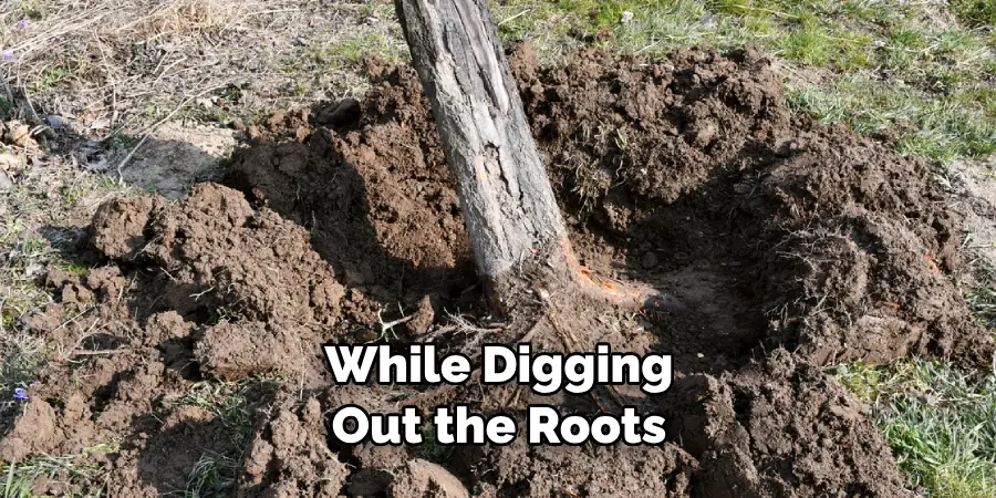 While Digging Out the Roots