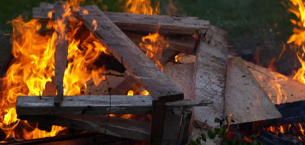 How to Burn Green Wood Bonfire