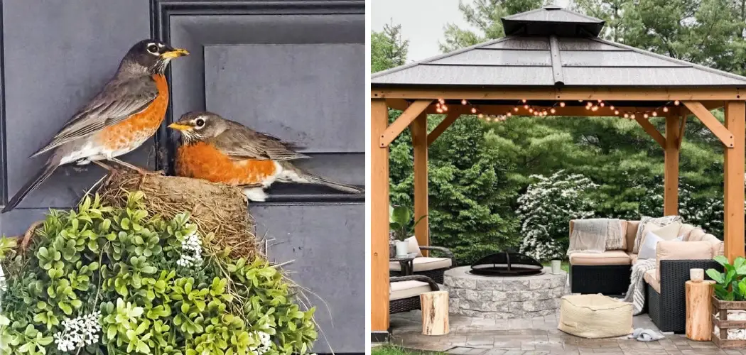 How to Keep Birds Out of Gazebo