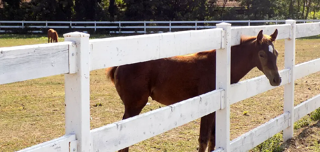 How to Build a Horse Fence