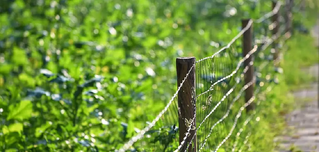 How to Install Chicken Wire Fence With T-posts