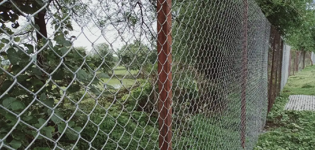 How to Kill Trees in Fence Line
