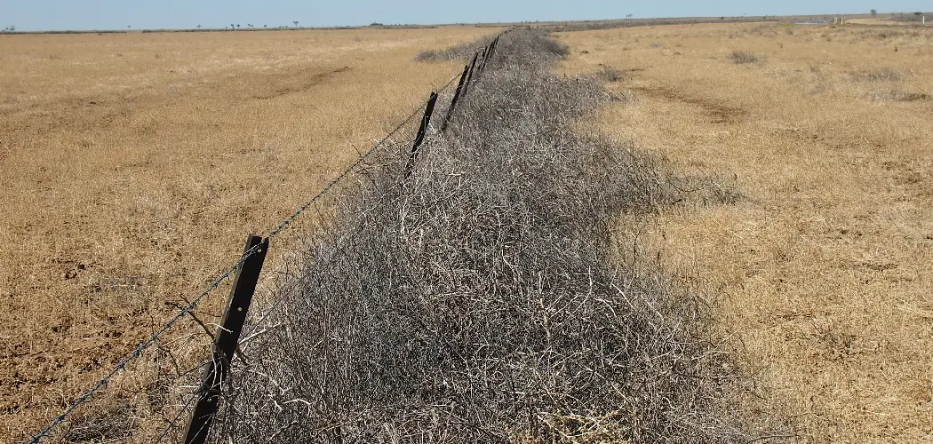 How to Remove Tumbleweeds From Fence Line