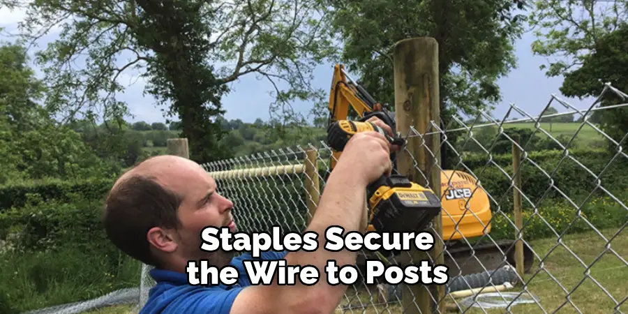  Staples Secure the Wire to Posts