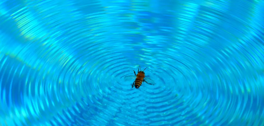 How to Keep Bees Away From Pool