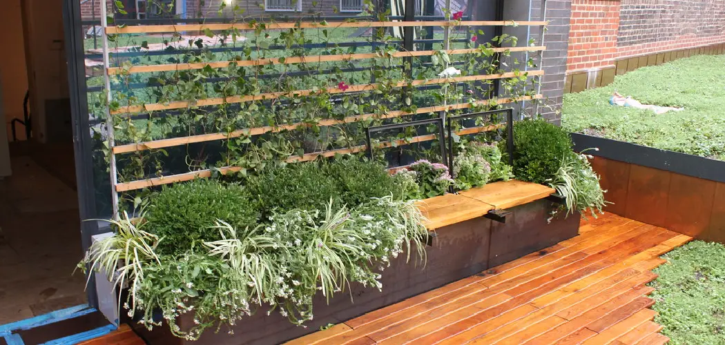 How to Protect Deck from Planters