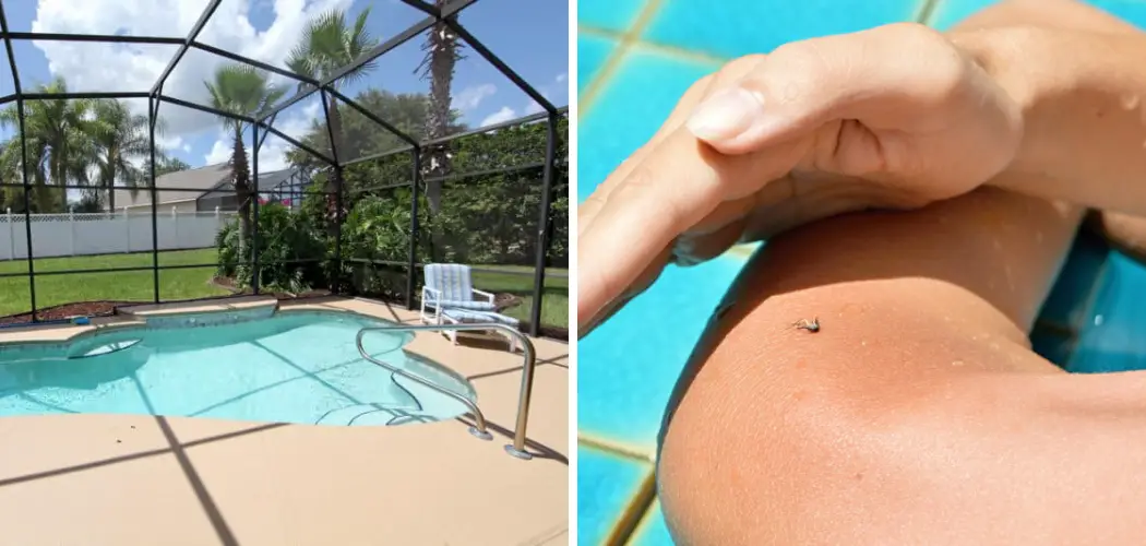 How to Keep Mosquitos Away from Pool