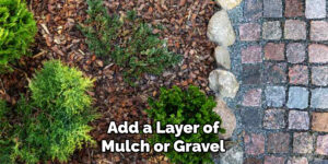 How to Get Rid of Grass in Rock Landscaping | 11 Easy Steps