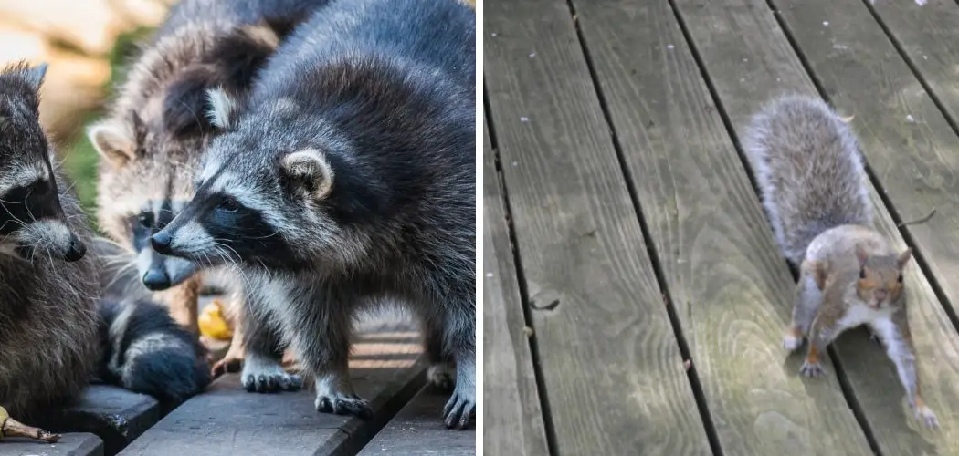 How to Keep Animals Out from under Your Deck