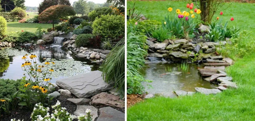 How to Landscape Around a Natural Spring