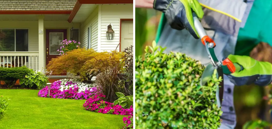 How to Take Care of Landscaping