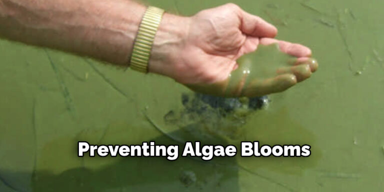 A closer look at Preventing Algae From Building Up