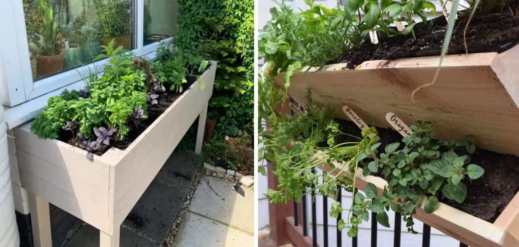 How to Build a Herb Garden Box