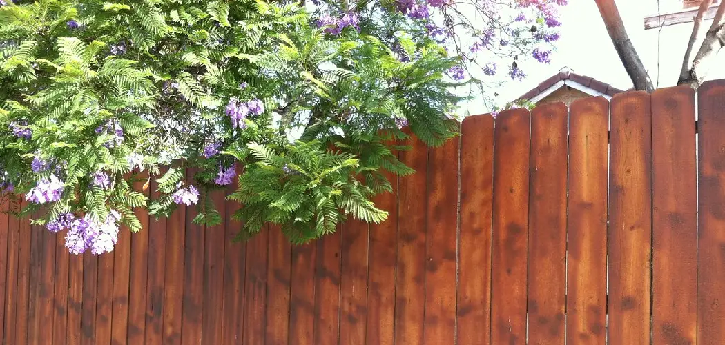 How to Clean Cedar Fence