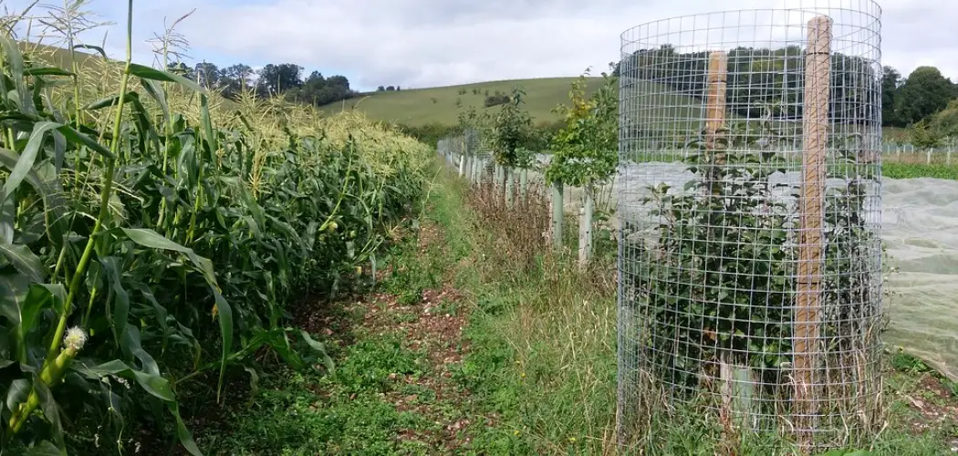 How to Fence Apple Trees From Deer