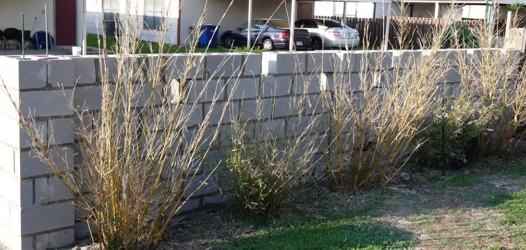 How to Build Stucco Fence