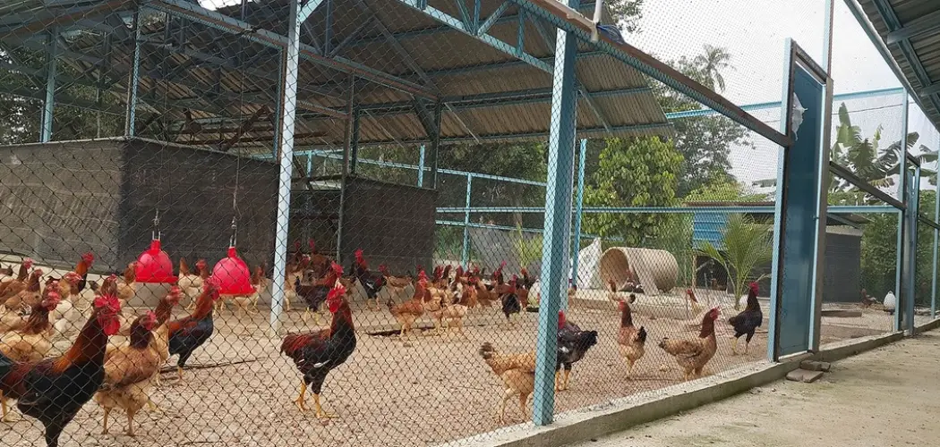 How to Keep Snakes Out of Your Chicken Coop