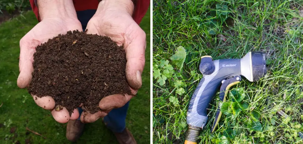 How to Add Boron to Lawn