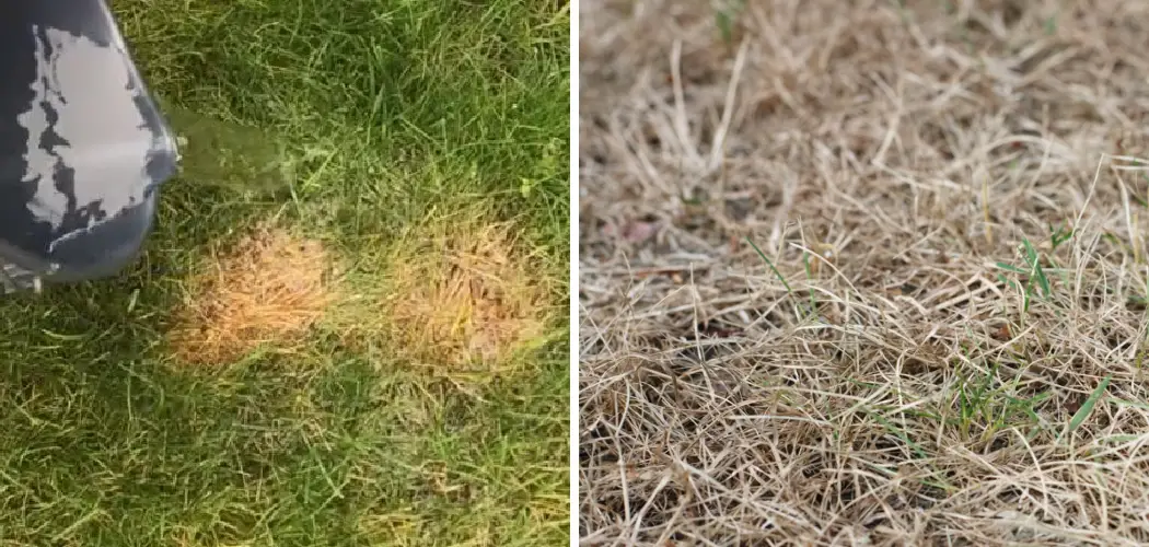 How to Fix Burnt Spots on Lawn