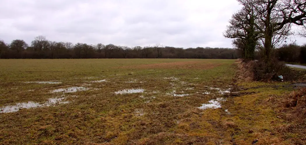 How to Repair Muddy Lawn