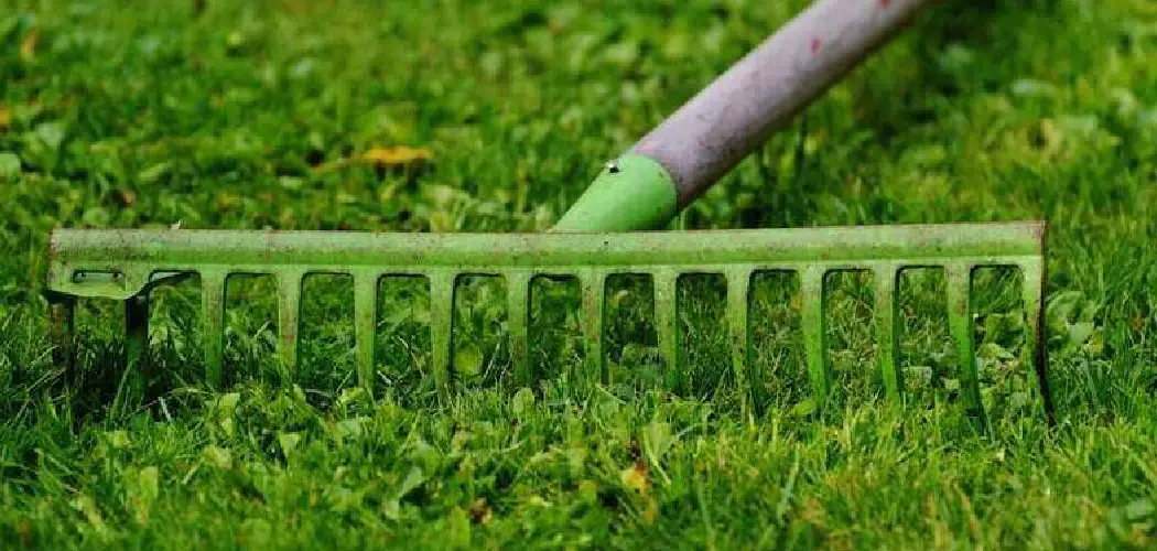 How to Remove Old Grass and Lay New Turf