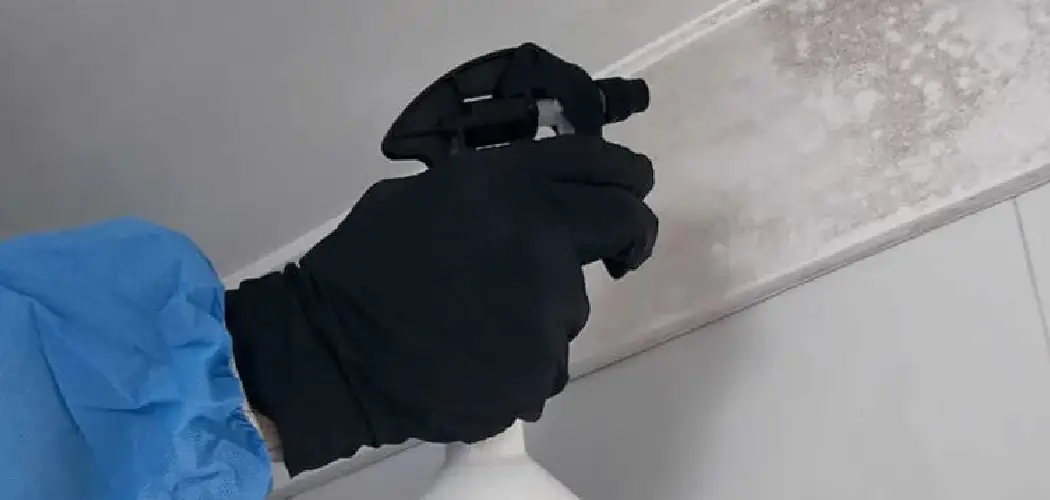 How to Clean Leather Gardening Gloves