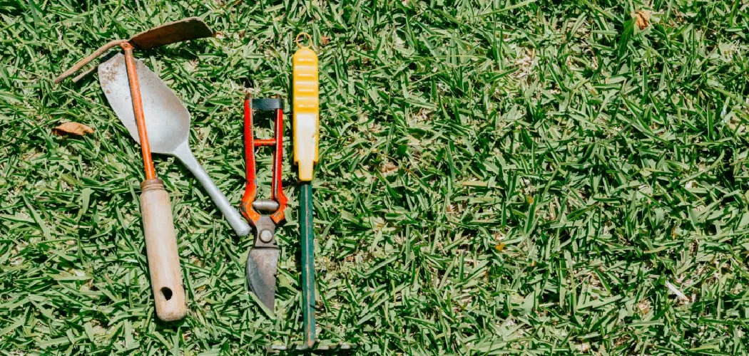 How to Use a Garden Hoe