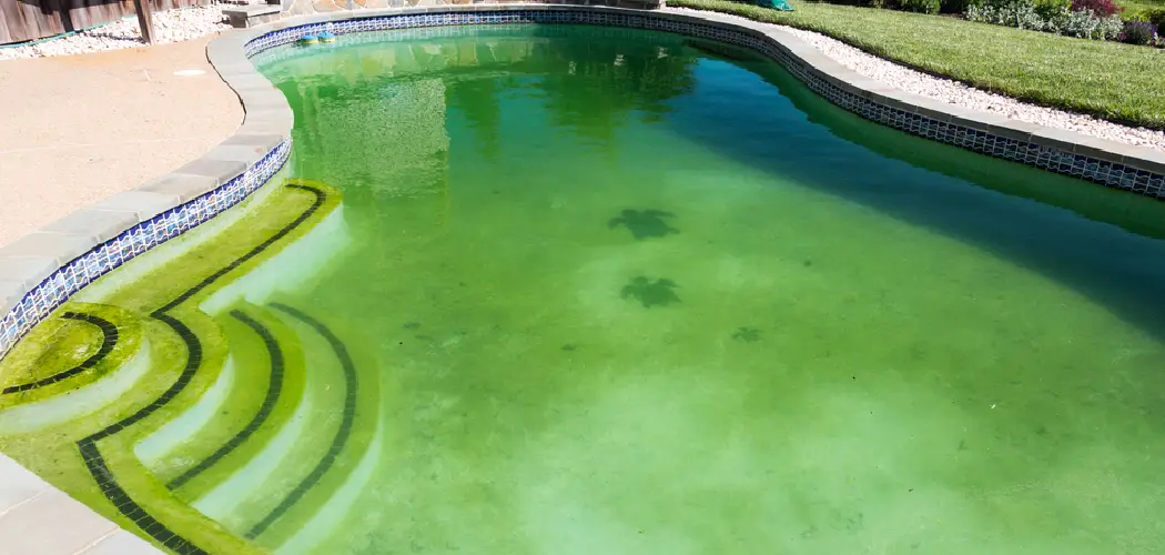 How to Keep Leaves Out of Pool
