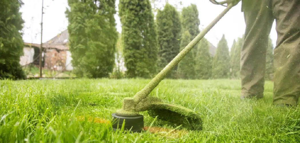 How to Keep Weed Eater String from Breaking