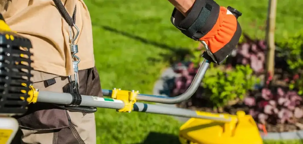 How to Store Weed Eater