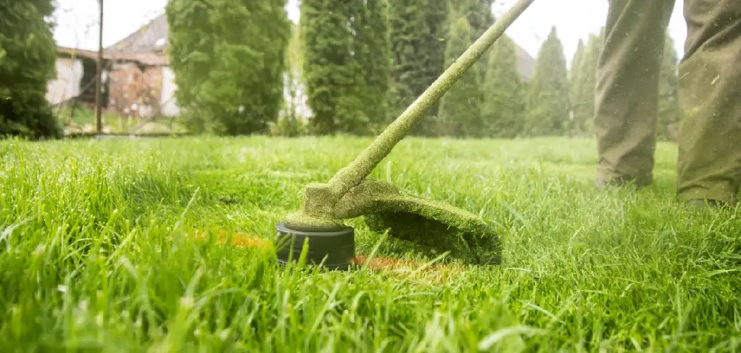 How to Trim Shrubs with Electric Trimmer