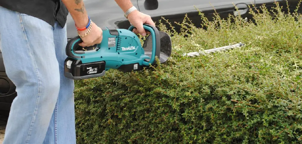 How to Use Hedge Trimmer